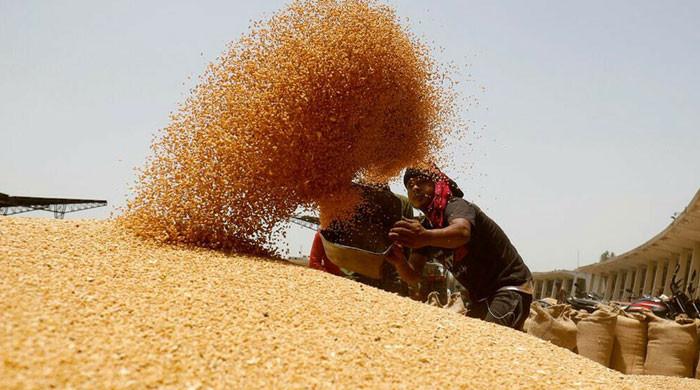 AGP Exposes Massive Rs300bn Wheat Scandal