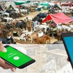 Cattle Markets Go Cashless: Online Deals Reach Rs4.66bn with 64,553 Transactions on Eid-ul-Adha 2025