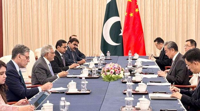 China, Pakistan Pledge Allegiance to Regional Partnership