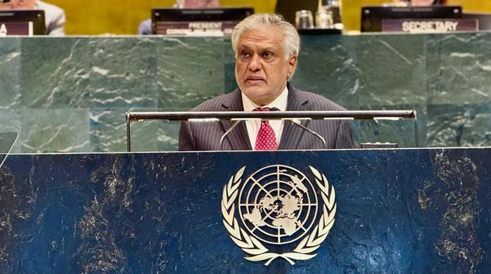 Dar Advocates for Debt Relief and Grants for Developing Countries at UN