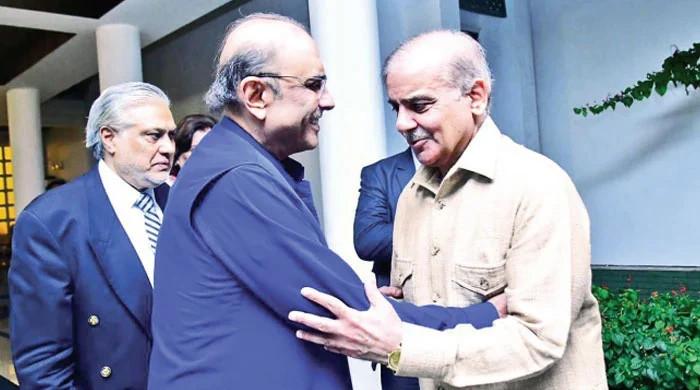 Dar affirms PPP to stay crucial partner even with PML-N’s majority
