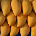 FBR Sets New Customs Export Values for Mangoes in 2025 Season
