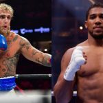 Fury anticipates possible Paul-Joshua fight with great interest