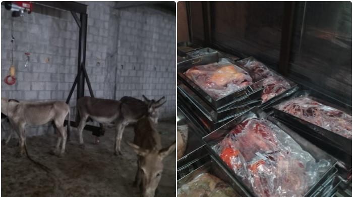 Islamabad: Slaughter operation exposed, 50 donkeys and a tonne of meat confiscated