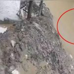 Lahore: Motorcyclist Plunges into Rainwater-Filled Hole (Watch)