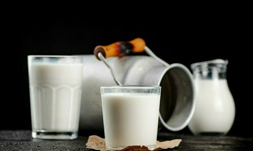 PFA and PDA collaborate to boost dairy industry