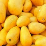 Pakistani mango farmers urge government support amid climate change, water scarcity