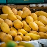 Promote Sindhri Mango Globally, Safeguard IP Rights & Boost R&D, Stakeholders Urge