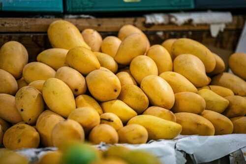 Promote Sindhri Mango Globally, Safeguard IP Rights & Boost R&D, Stakeholders Urge