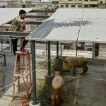 Rising solar demand strains the national power grid