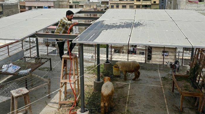 Rising solar demand strains the national power grid