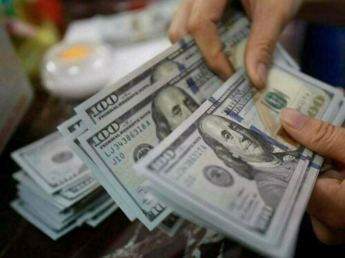 SBP Acquires $7.2 Billion from Local FX Market (Jun-Apr 2025) to Fortify Reserves