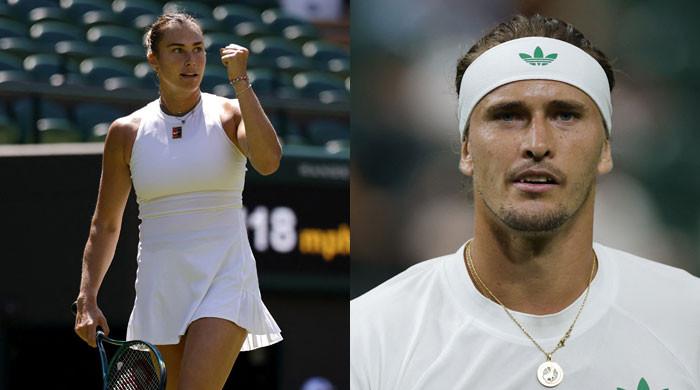 Sabalenka Counsels Zverev Regarding Mental Health Challenges