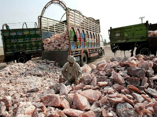 Salt Makers Urge Rate Reduction at MPC’s July 30 Gathering