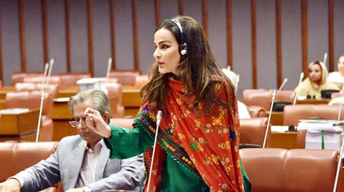 Senate Condemns Balochistan Honor Killing: A Gross Rights Violation