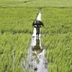 Supreme Court Strikes Down 45% Farm Income Tax