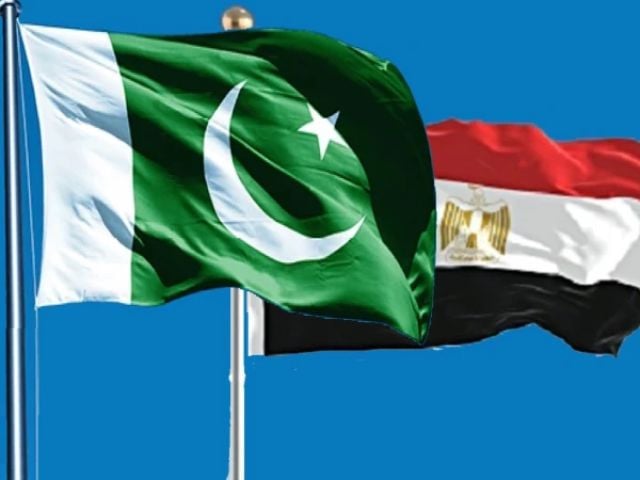 Pakistan and Egypt Launch Talks to Enhance Health Sector Cooperation