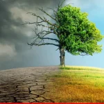 87% of Pakistanis Back Climate Action, 80% Support Methane Reduction: Global Survey Reveals Strong Public Support