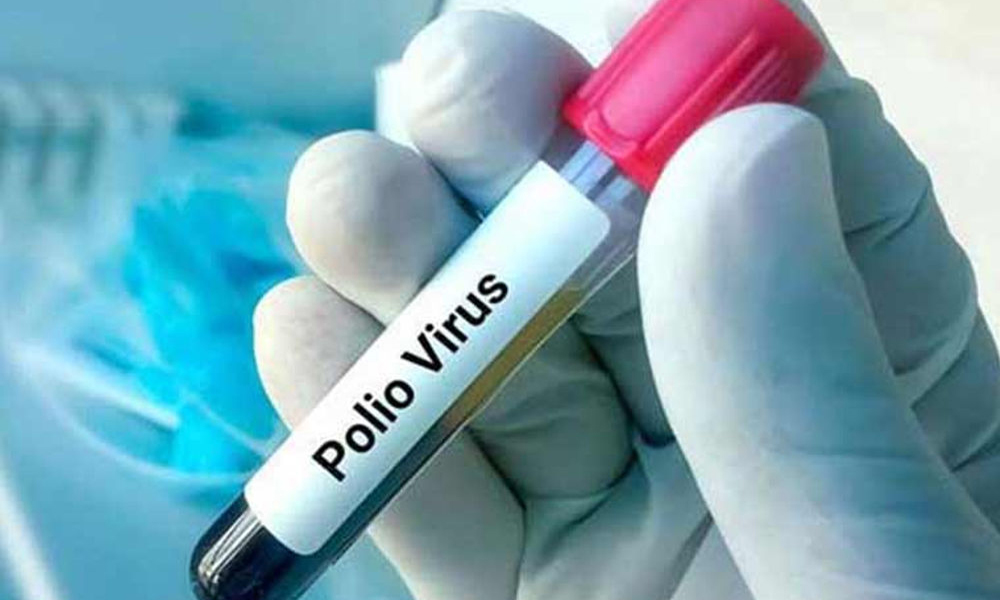 Peshawar Declared Polio-Free After Two Years of Environmental Testing