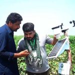 Sindh Introduces Satellite Imagery-Based Crop Reporting for Accurate Wheat and Food Stock Forecasts