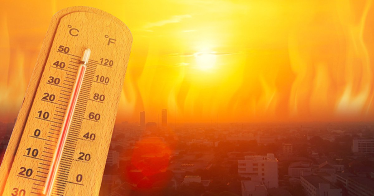 WHO Warns Extreme Heat Increases Heart, Lung, and Pregnancy Health Risks