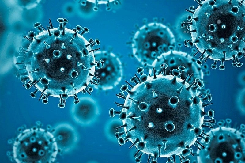 WHO Panel Confirms Zoonotic Spillover as Most Likely COVID-19 Origin Amid Ongoing Data Gaps