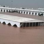 Floodwater Submerges Kartarpur Region in Punjab: Watch Now