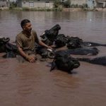Monsoon rains claim nearly 300 lives in Pakistan; more downpours expected
