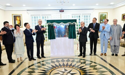 PM Shehbaz inaugurates Chinese textile zone, anticipates $400m export revenue