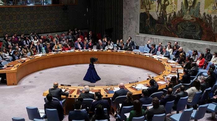 Pakistan Considers UNSC Action Against BLA, Associate