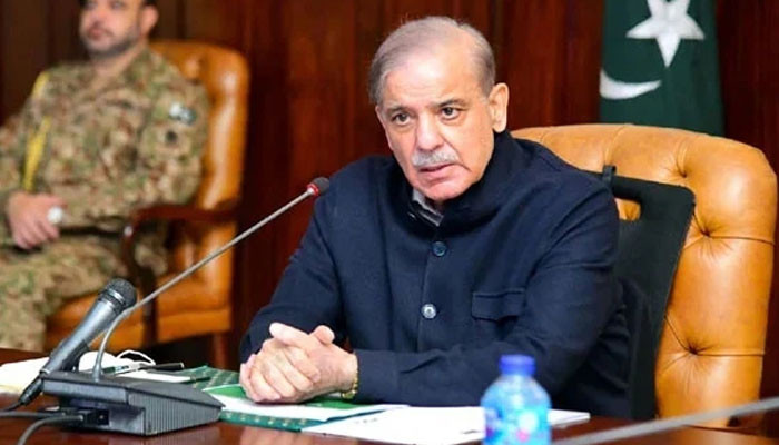 Shehbaz Sharif Calls for Global Action Amid Israeli Push