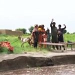 Sutlej Flood: Stranded Families Await Assistance in Submerged Bahawalnagar Villages