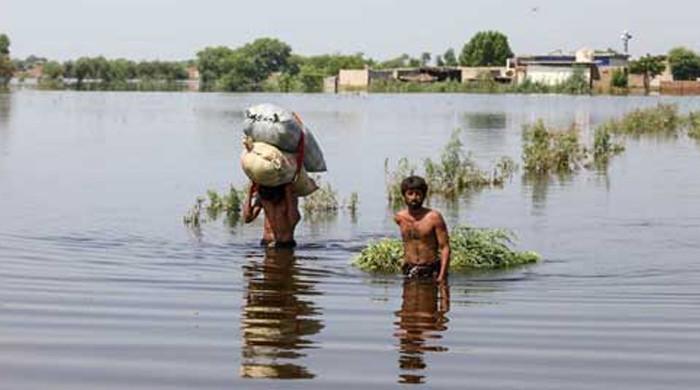 Expert warns climate funding faces cuts amid growing global militarization