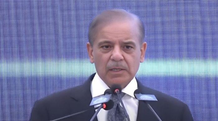 PM Shehbaz Sharif Announces Pakistan Will Host Next SCO Summit