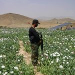 Pakistan Launches Massive Anti-Narcotics Operation in Balochistan