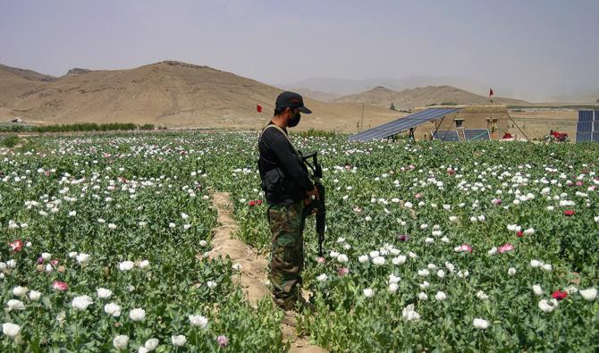 Pakistan Launches Massive Anti-Narcotics Operation in Balochistan