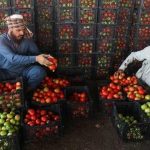 Border shutdowns by Pakistan impact prices for Afghan essential imports like tomatoes
