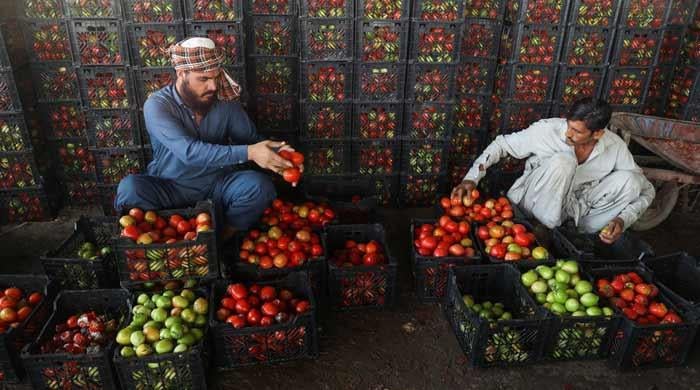 Border shutdowns by Pakistan impact prices for Afghan essential imports like tomatoes