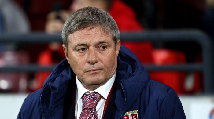 Dragan Stojkovic resigns as Serbia coach following loss to Albania