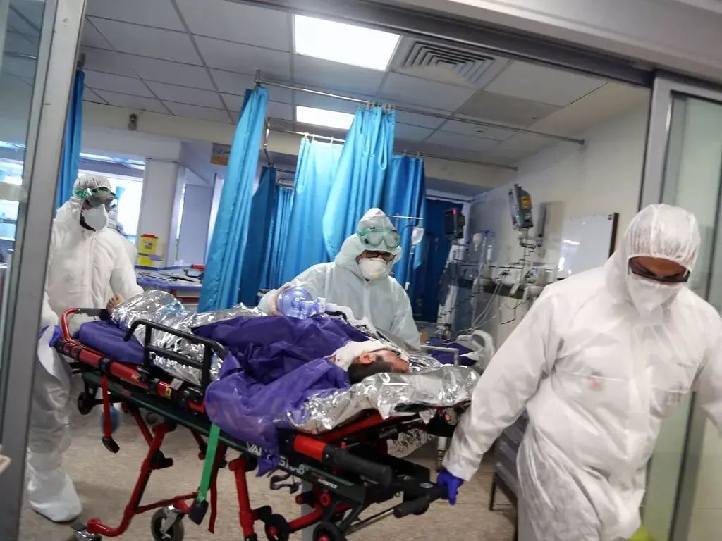 Punjab Government Removes CEO Health Sargodha and MS THQ Hospital