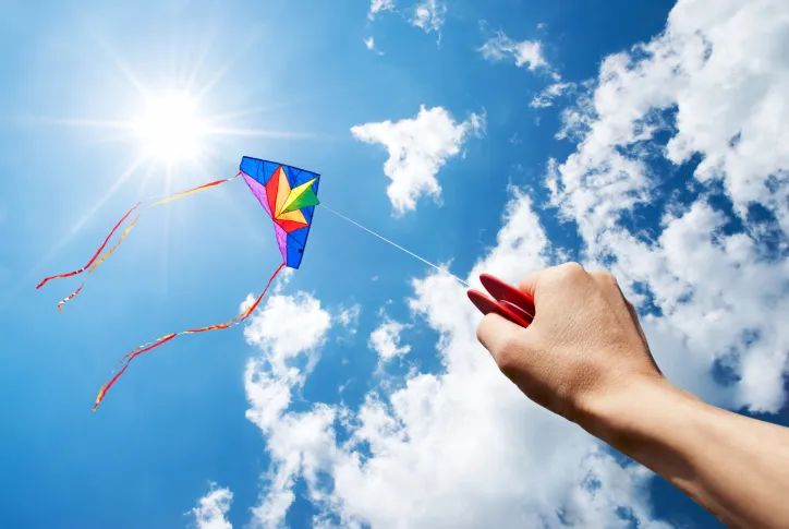 Punjab Government Issues Kite Flying Rules Ahead of Basant Festival