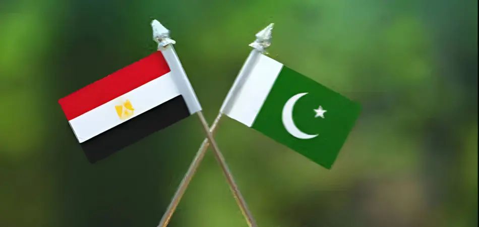 Pakistan and Egypt Strengthen Partnership in Health Sector