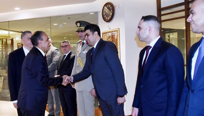 Egypt’s FM arrives in Pakistan for quad ‘in-depth’ talks on Mideast war