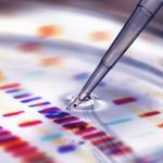 Why Scientists Struggle with Humor