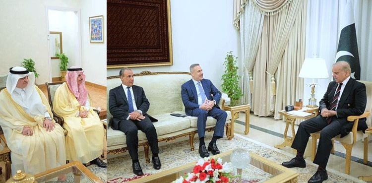 PM Shehbaz urges unity among Islamic countries in meetings with Saudi, Turkish, Egyptian FMs